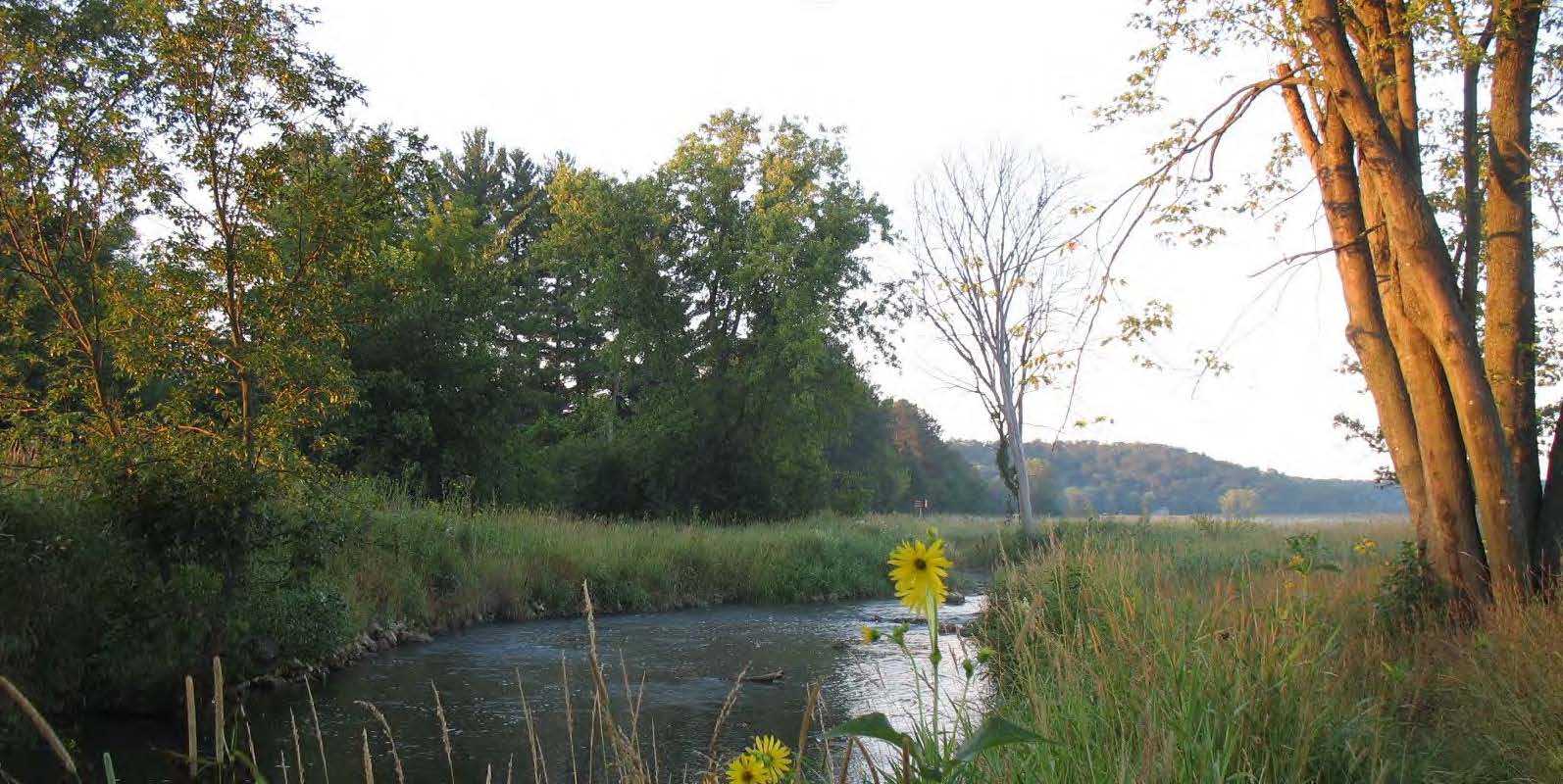 trout stream