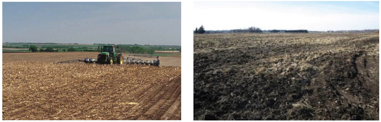 Tractor in field preparing soil for planting