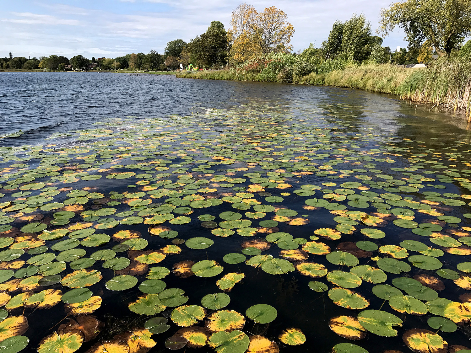 Serpent Lake