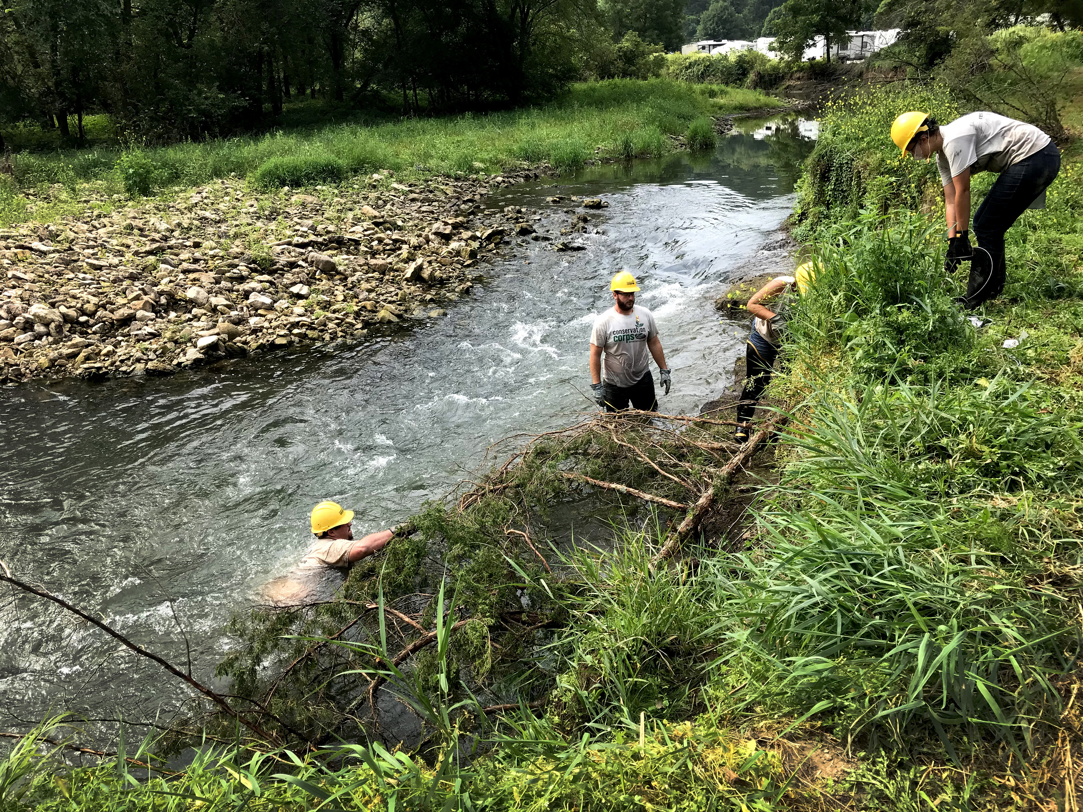 People restoring river banks