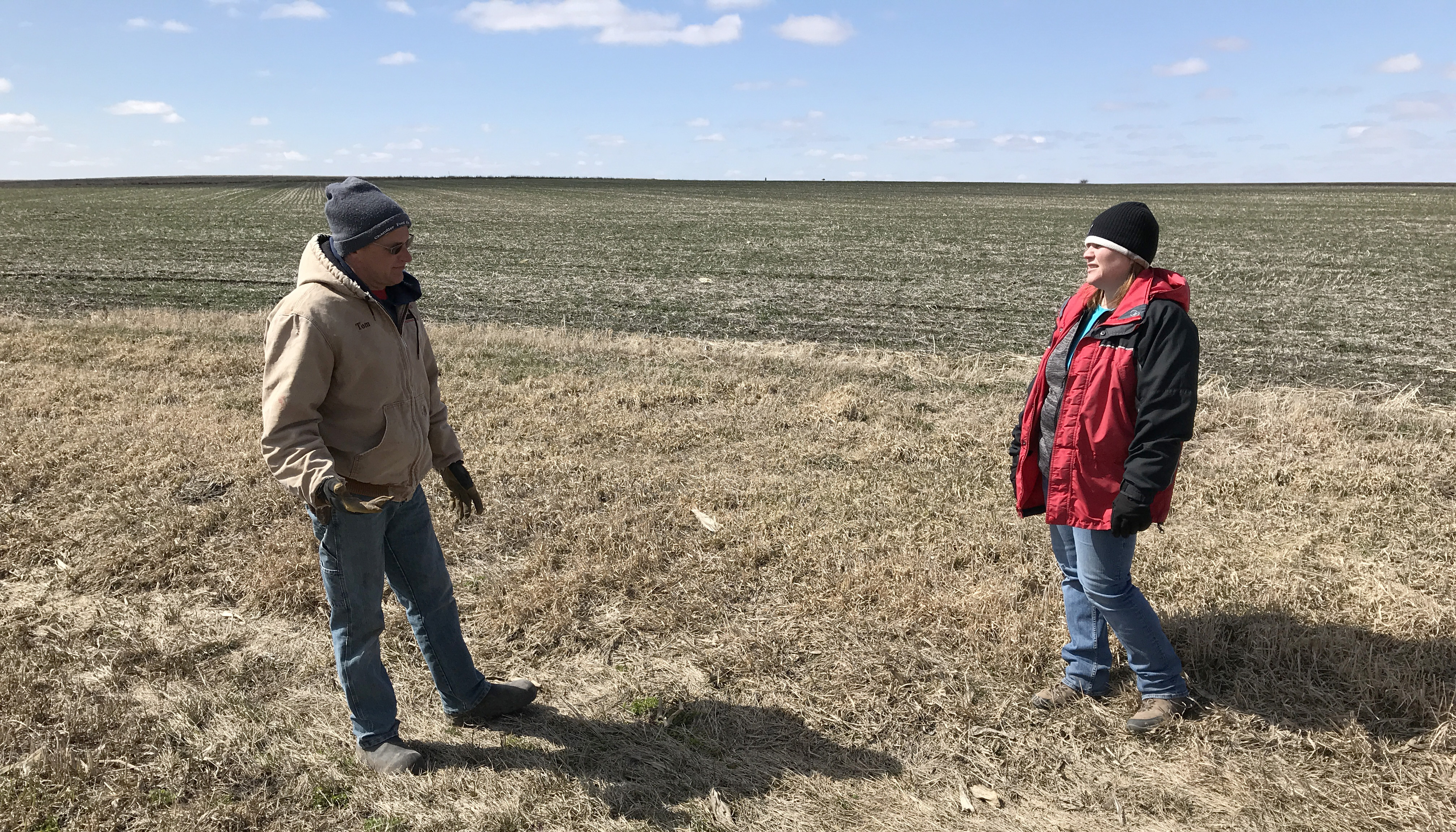 Farmer and SWCD staff member stand in a field where a cover crop greens up on March 31
