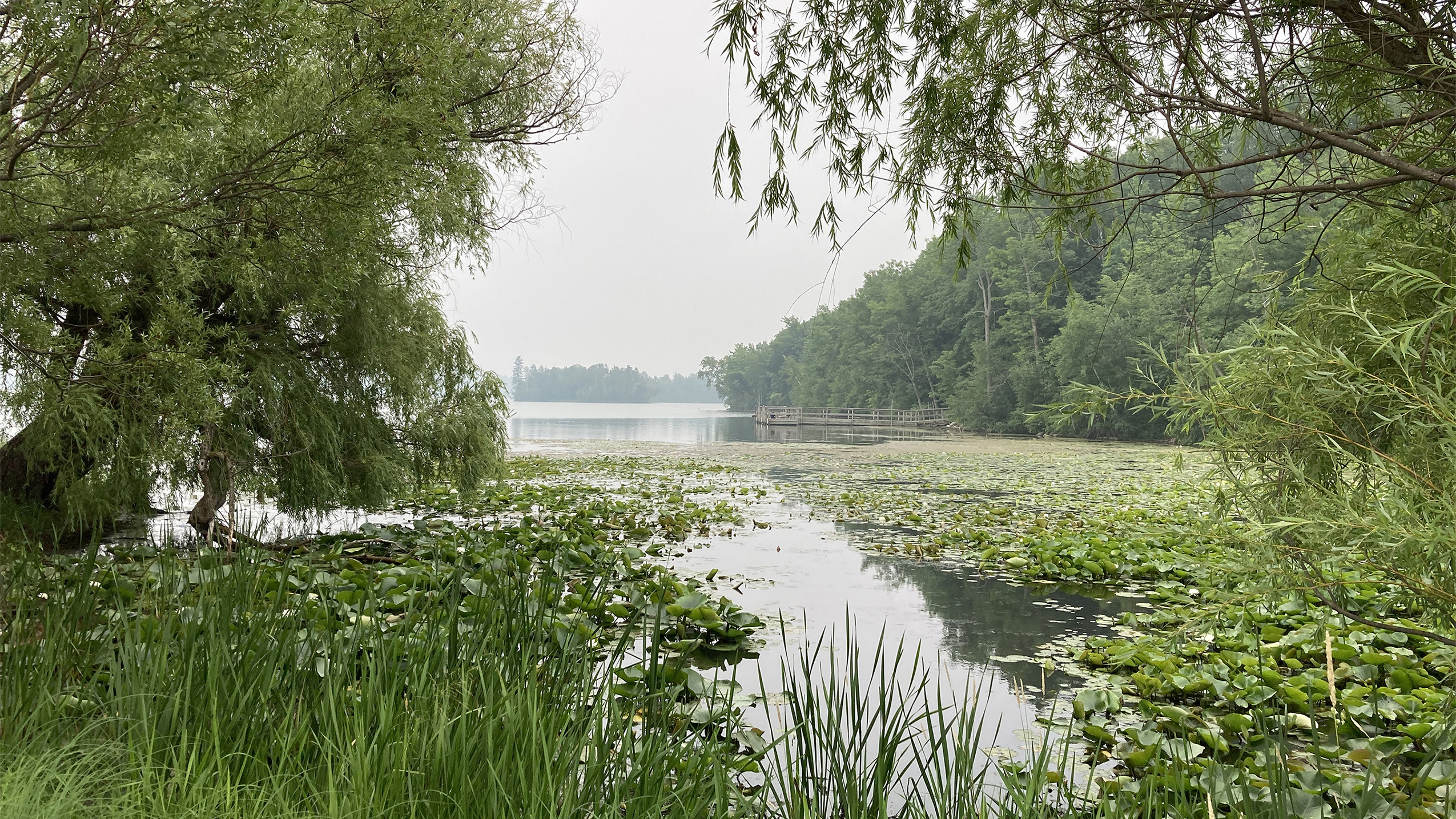 Trees frame a view of Trout Lake under a sky made gray by smoke from wildfires