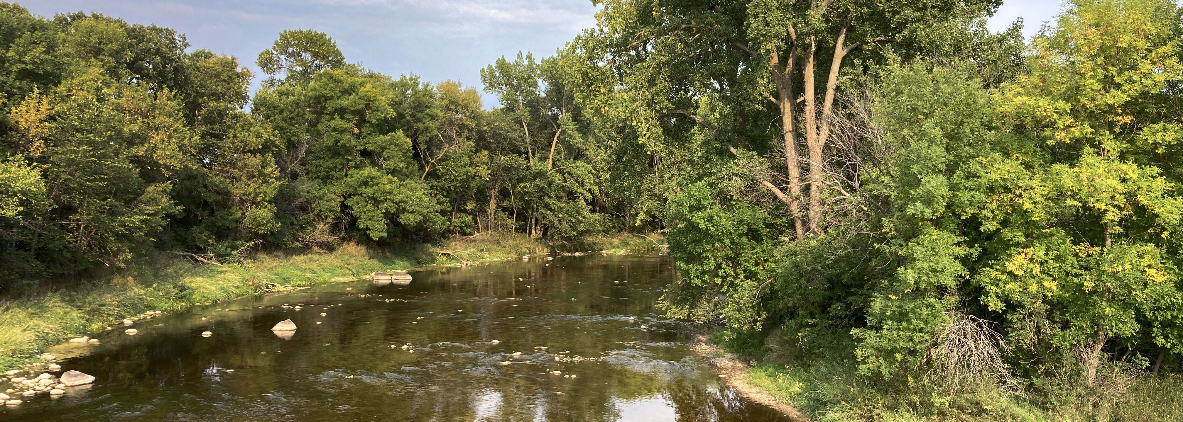 Stream flowing through wooded area