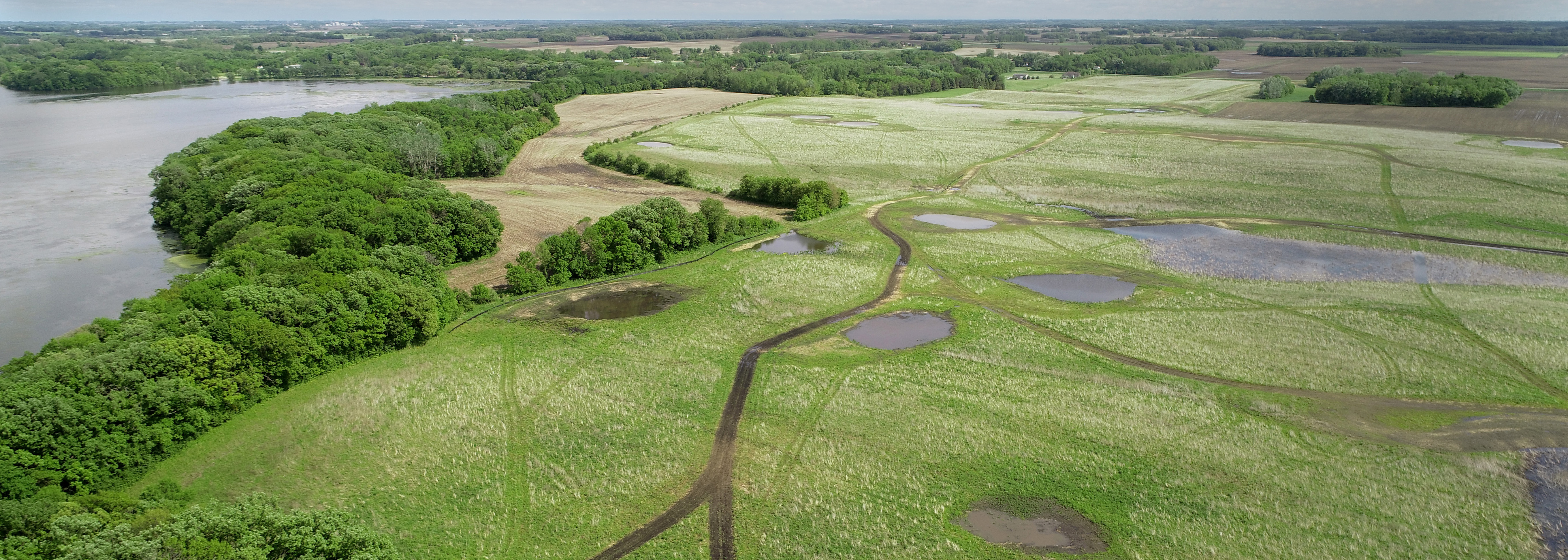 Drone view of green landscape next to a water body.