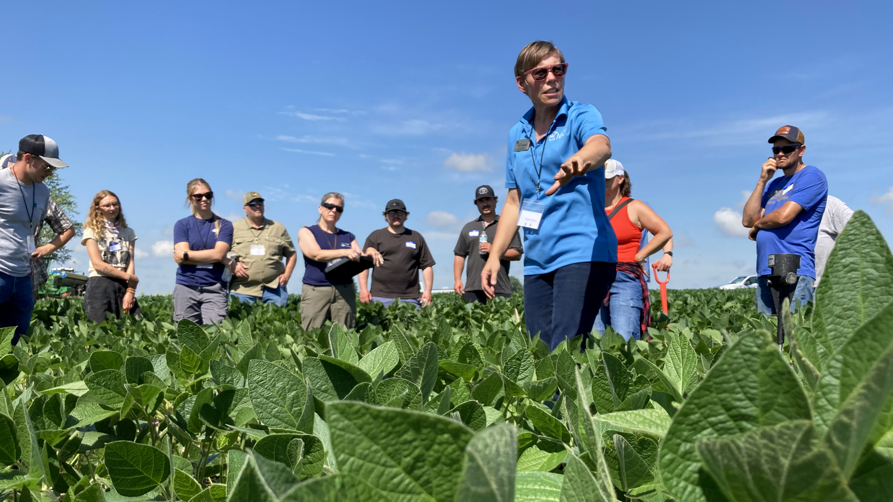 people stand in a soybean field