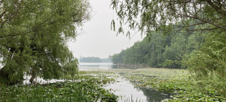 Trees frame a view of Trout Lake under a sky made gray by smoke from wildfires