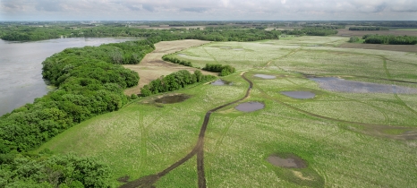 Small wetlands appear amid green and trees border a lake at left