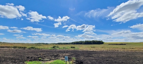 A Reinvest in Minnesota sign stands in a patch of grass