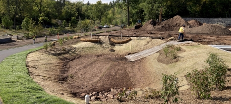 Tan erosion control material lines a basin ringed by mulched shrubs and a paved trail