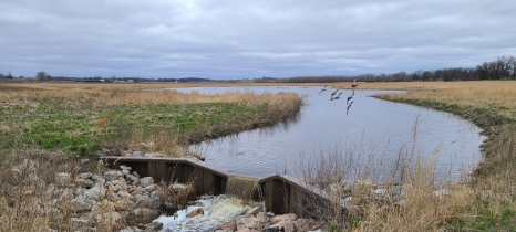 AN outlet structure is seen on a restored wetland