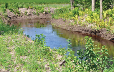 Sinuous stream