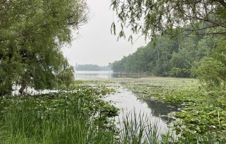 Trees frame a view of Trout Lake under a sky made gray by smoke from wildfires