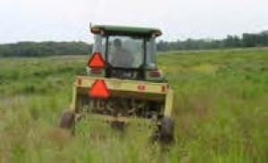 inter-seeding a field