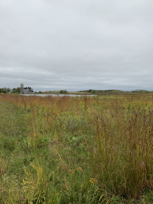RIM-Riparian Field Training
