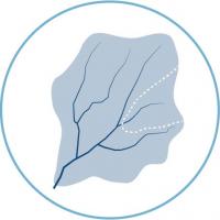 Logo for watershed planning toolbox