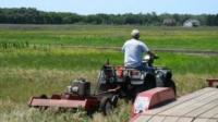mowing a buffer