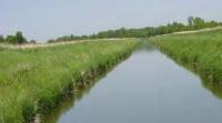 buffer along a ditch
