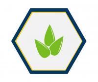 icon 4