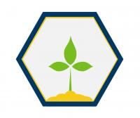 plant icon