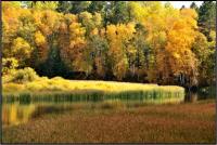 Mississippi River Fall Photo